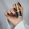 Lakier hybrydowy Autumn Drink Cozy Garden no 580 Boska Nails 6 ml