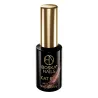 Lakier hybrydowy Cat eye Viral Mercury no 498 Boska Nails 6 ml
