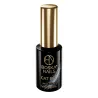 Lakier hybrydowy Cat Eye Viral Saturn no 499 Boska Nails 6 ml