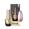 MAKEAR HC02 HOLO CAT EYE Lakier Hybrydowy 8 ml
