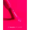 MAKEAR N29 NEON Lakier hybrydowy  8 ml