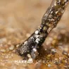 MAKEAR S63 GOLD STAR Lakier hybrydowy 8 ml