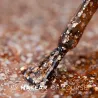 MAKEAR PREMIUM GLITTER S60 Lakier hybrydowy8 ml