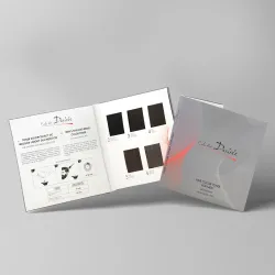 STAPIZ Color Art Desirée MEN 5 Toner koloryzujący do włosów i brody 100 ml