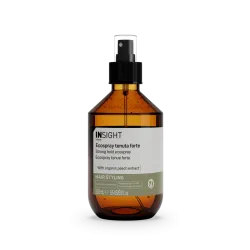 INSIGHT Styling — Strong Hold Ecospray 250 ml Lakier bez gazu o mocnym utrwaleniu