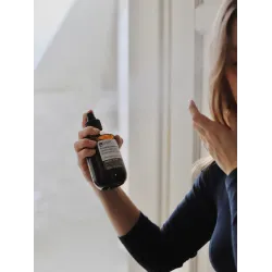 INSIGHT Styling — Medium Hold Ecospray Lakier bez gazu o średnim utrwaleniu 250 ml