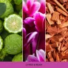 Mr & Mrs Fragrance CITRUS&MUSK zapach odświeżacz do samochodu NIKI