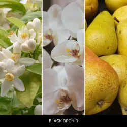 Mr & Mrs Fragrance BLACK ORCHID zapach odświeżacz do samochodu NIKI