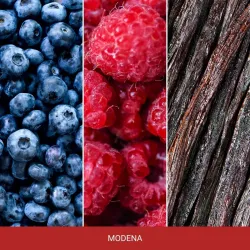 Mr & Mrs Fragrance Zapach Do Auta ONE! Modena Red Grape