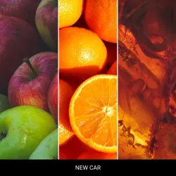 Mr & Mrs Fragrance Karta Zapachowa Card Cesare New Car