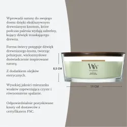 WoodWick Matcha Zest - świeca zapachowa elipsa 453g