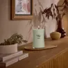 WoodWick Matcha Zest duża świeca zapachowa z drewnianym knotem 610 g