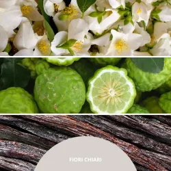 Millefiori Milano Fiori Chiari Pałeczki Zapachowe 100ml