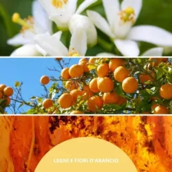 Millefiori Milano Legni E Fiori D'arancio pałeczki zapachowe 100ml