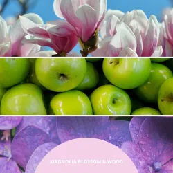 Millefiori Milano Magnolia Blossom & Wood Pałeczki Zapachowe 100ml