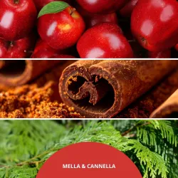 Millefiori Milano Diffuser uzupełniacz do pałeczek MELA & CANNELLA 250ML