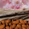 WoodWick Cherry Blossom & Vanilla Duża Świeca Core 609,5g