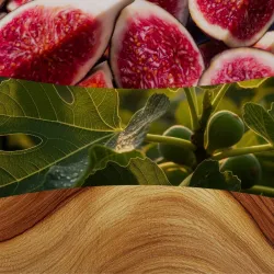 WoodWick Verdant Fig Duża Świeca Core 609,5g